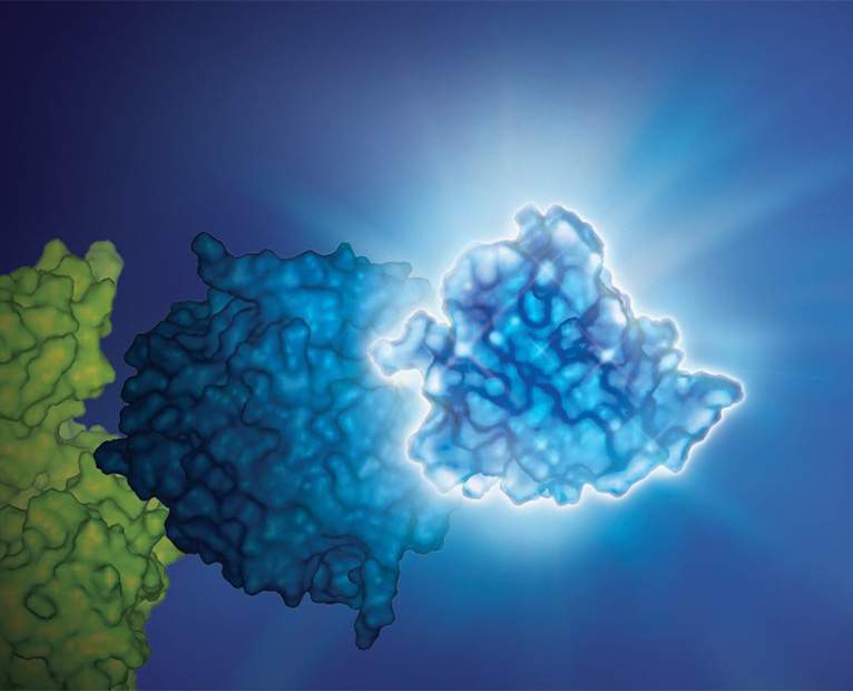 nano particles