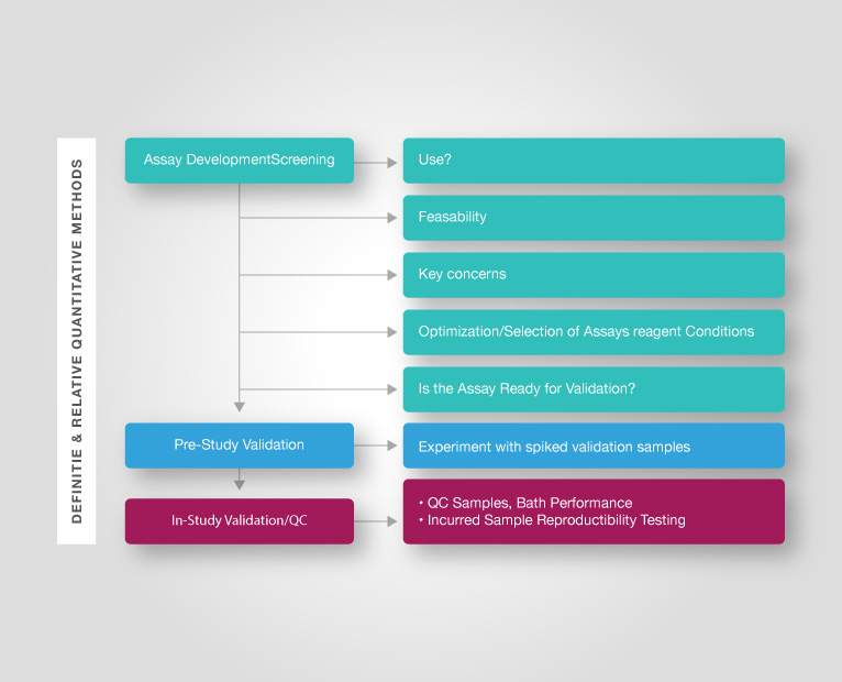 celerion-chromatography-graphic